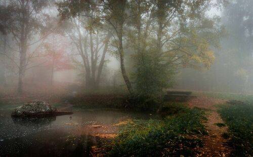 Autumn Impression / Осенняя импрессия