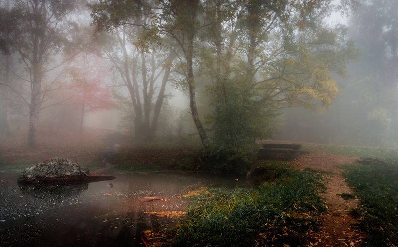 Autumn Impression / Осенняя импрессия
