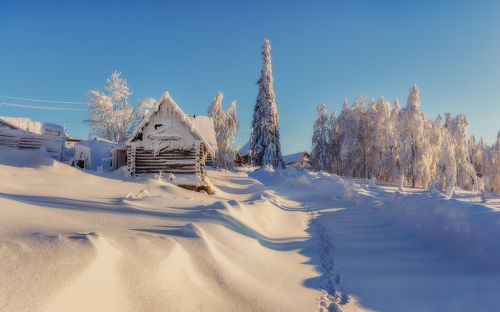 Признаки зимы