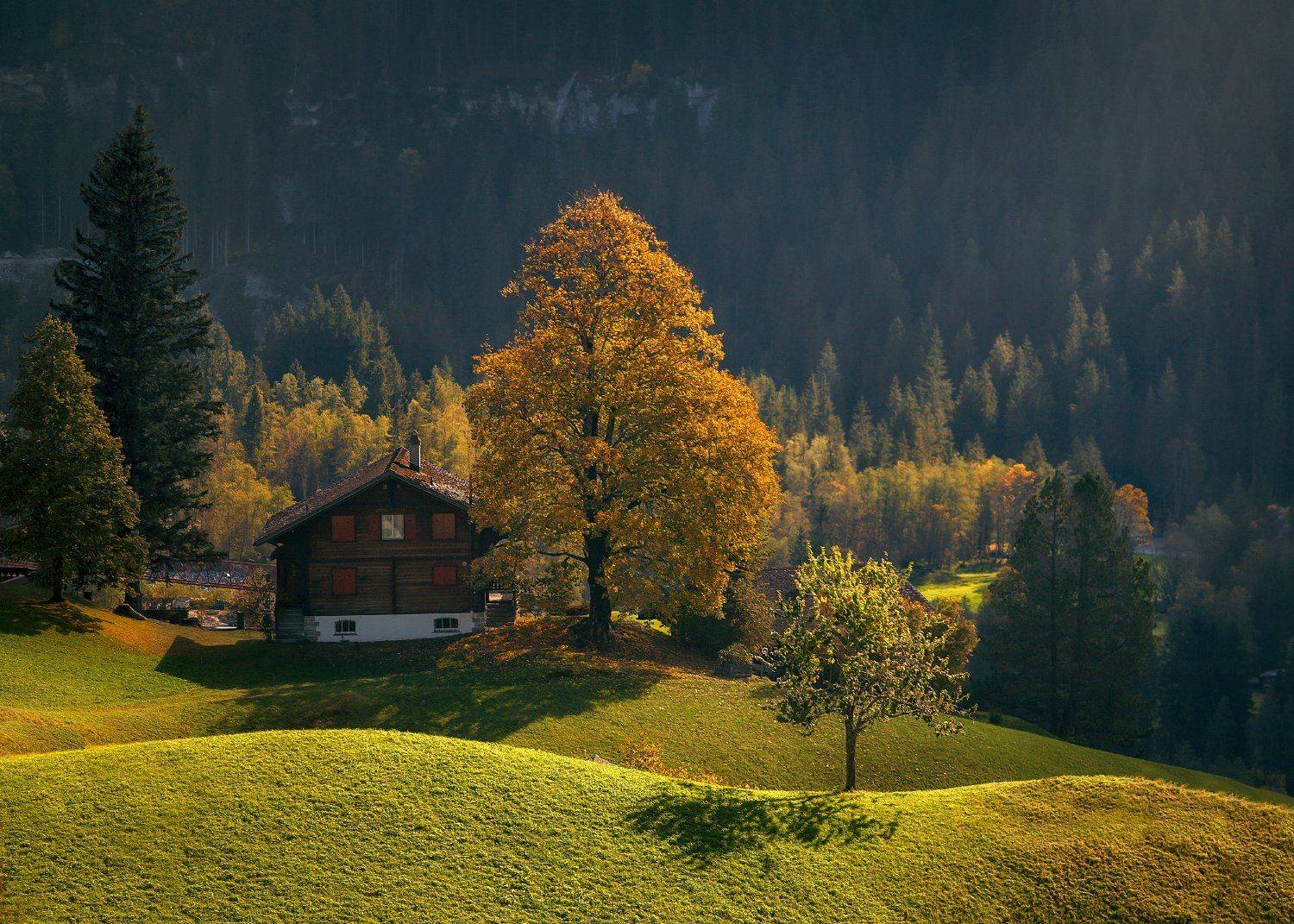 switzerland alps  gridelwald, Andris