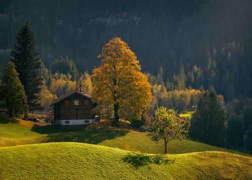 осенние линии