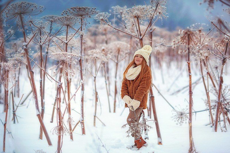 Fairy tail фото превью