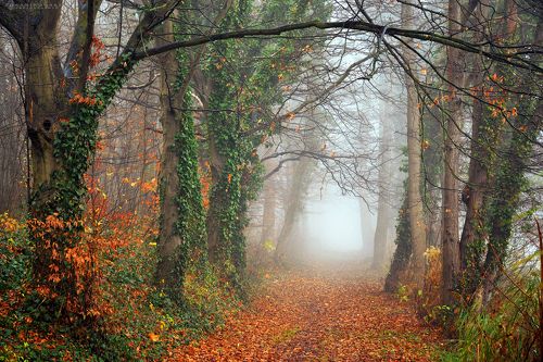 Mysterious alley