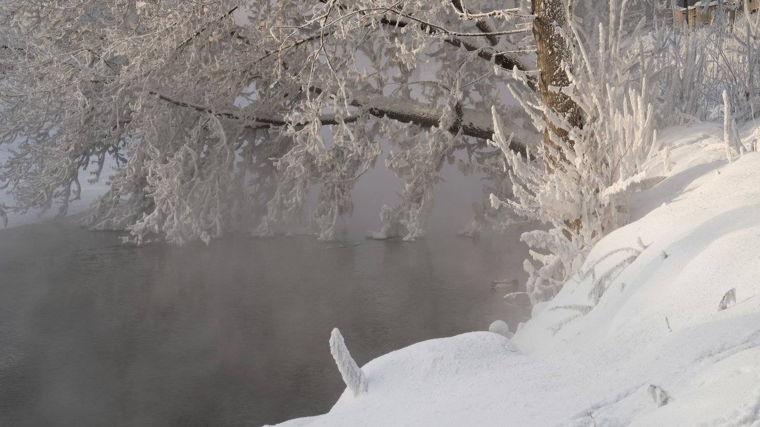 , Ольга Челдыкова