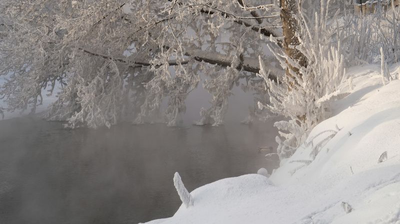 Зимняя сказка фото превью