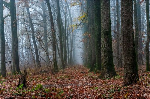 Последний день осени