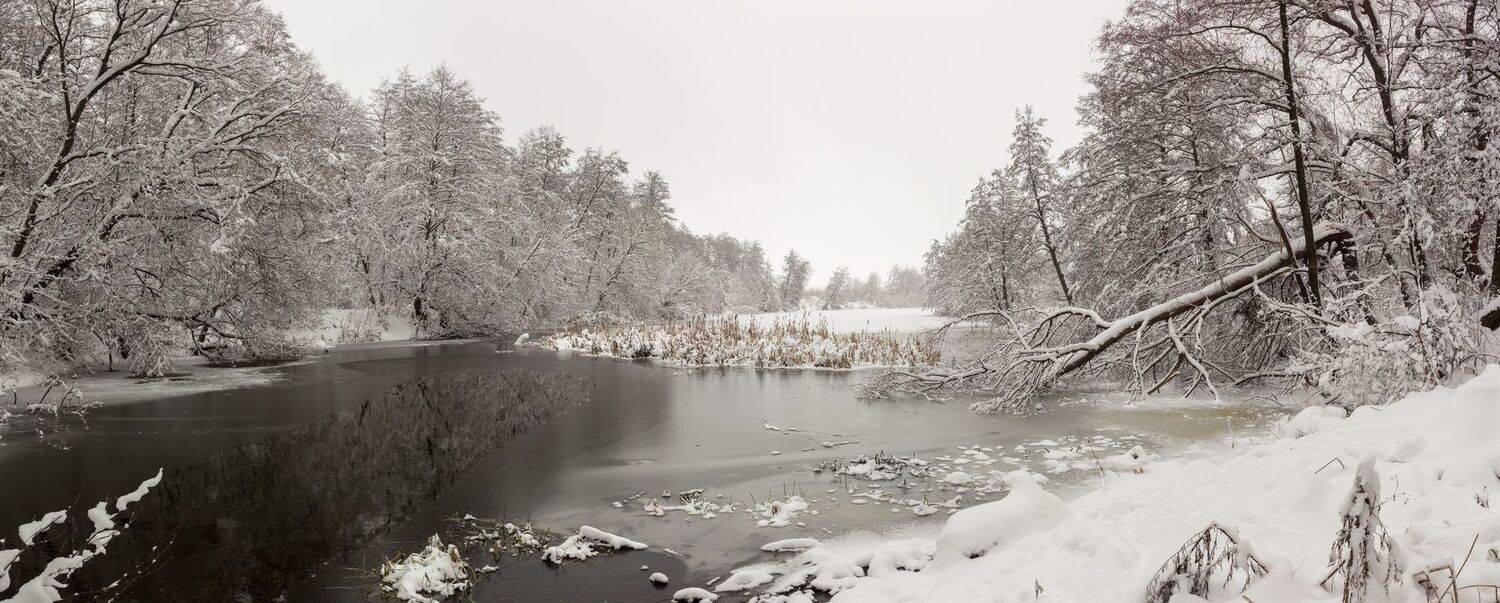 лес, снег, река, ноябрь, зима, Руслан Востриков