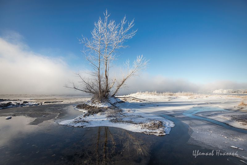 волга, туман, иней, декабрь *** фото превью