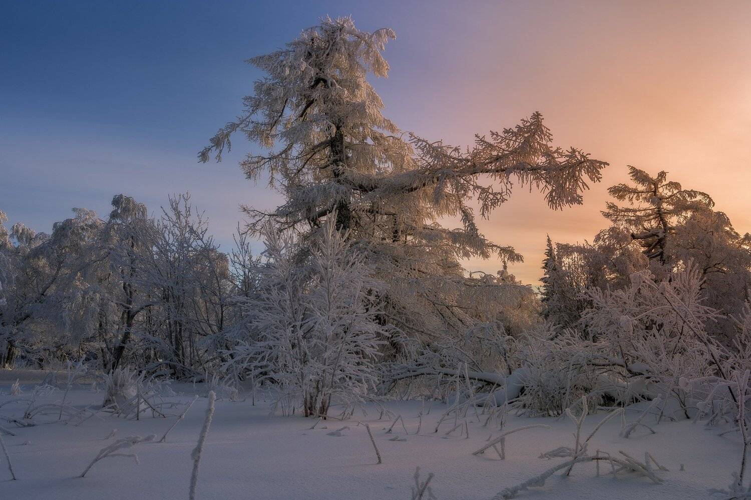 , Андрей Шарапов