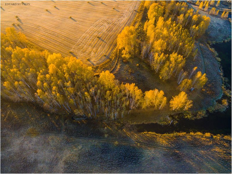 ... фото превью