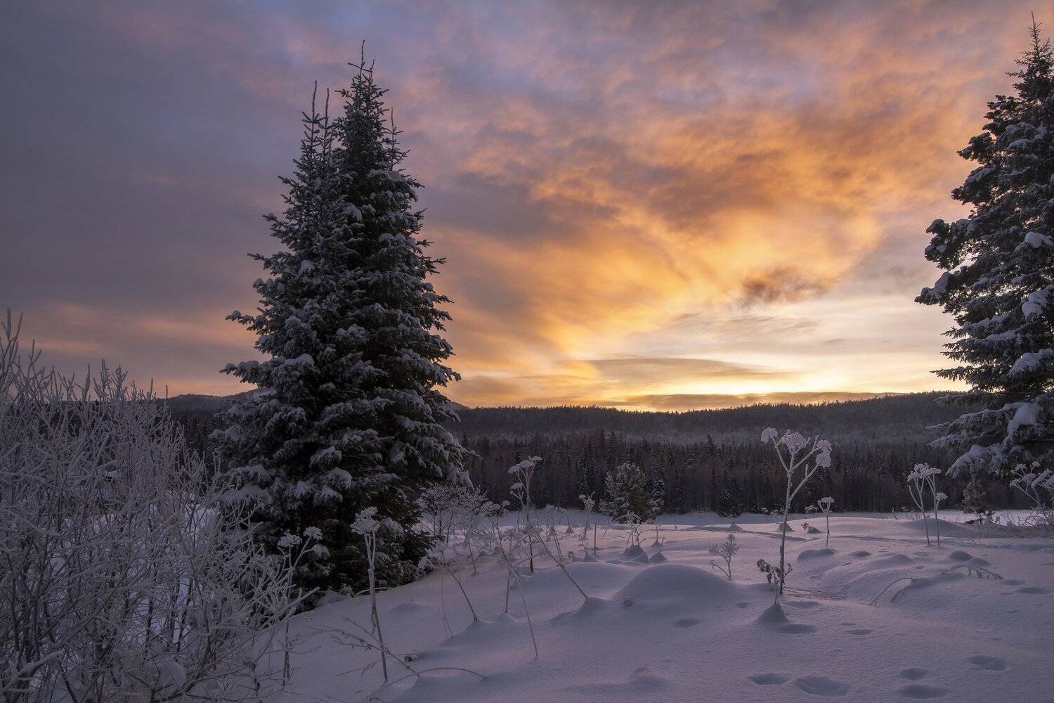 , Андрей Шарапов