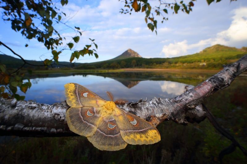 Любимый край фото превью
