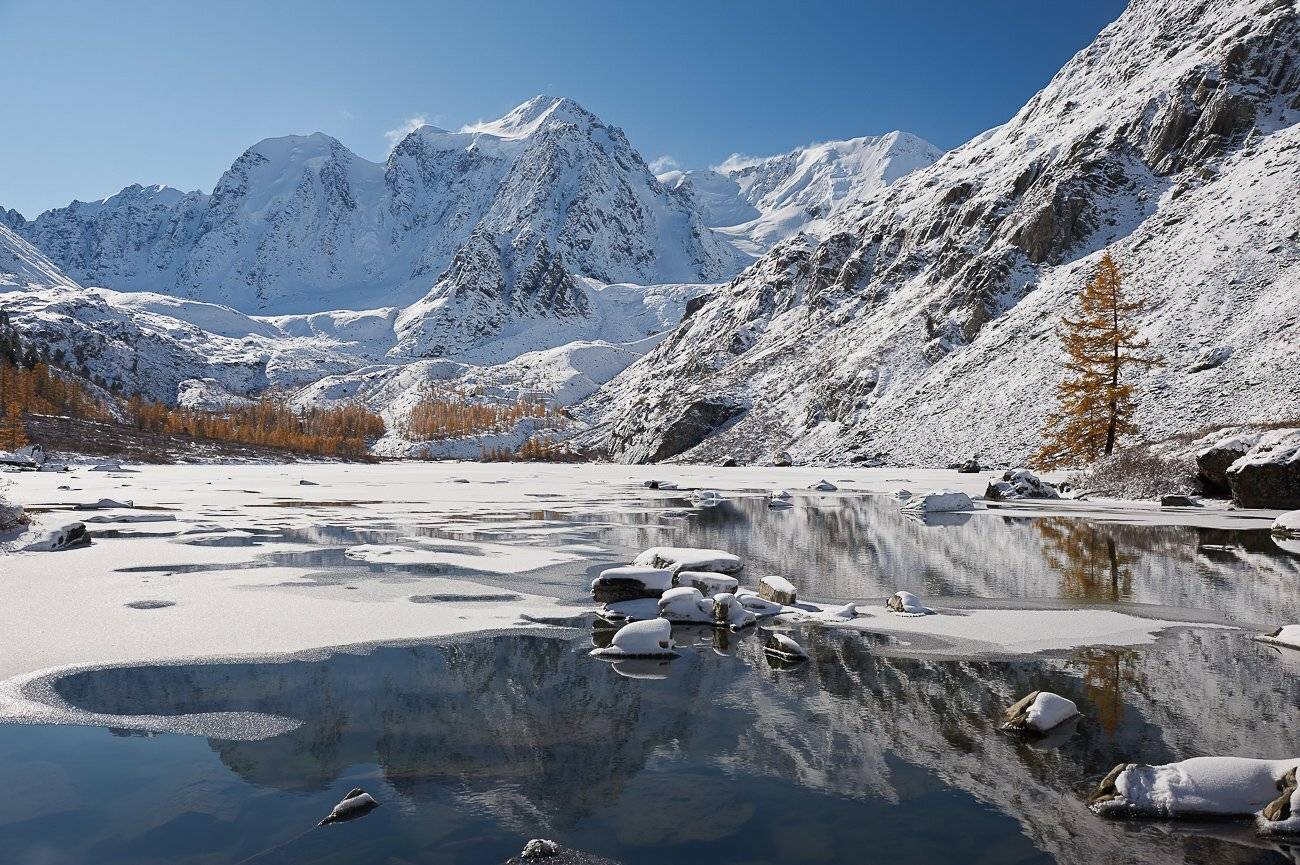 , Юра Тараник