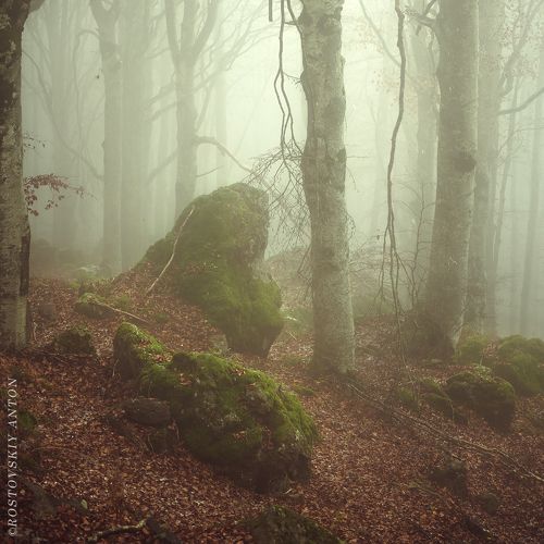 Тоскана, однако)