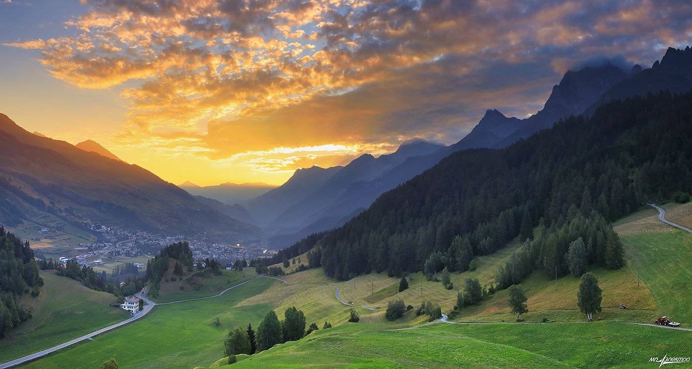 swiss, Матвеев Николай