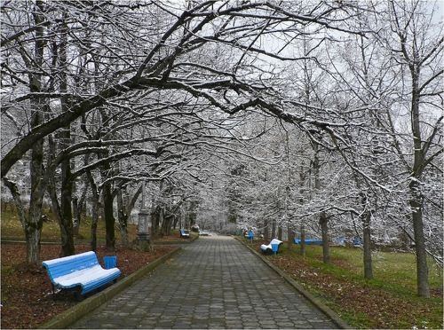 Зимний парк