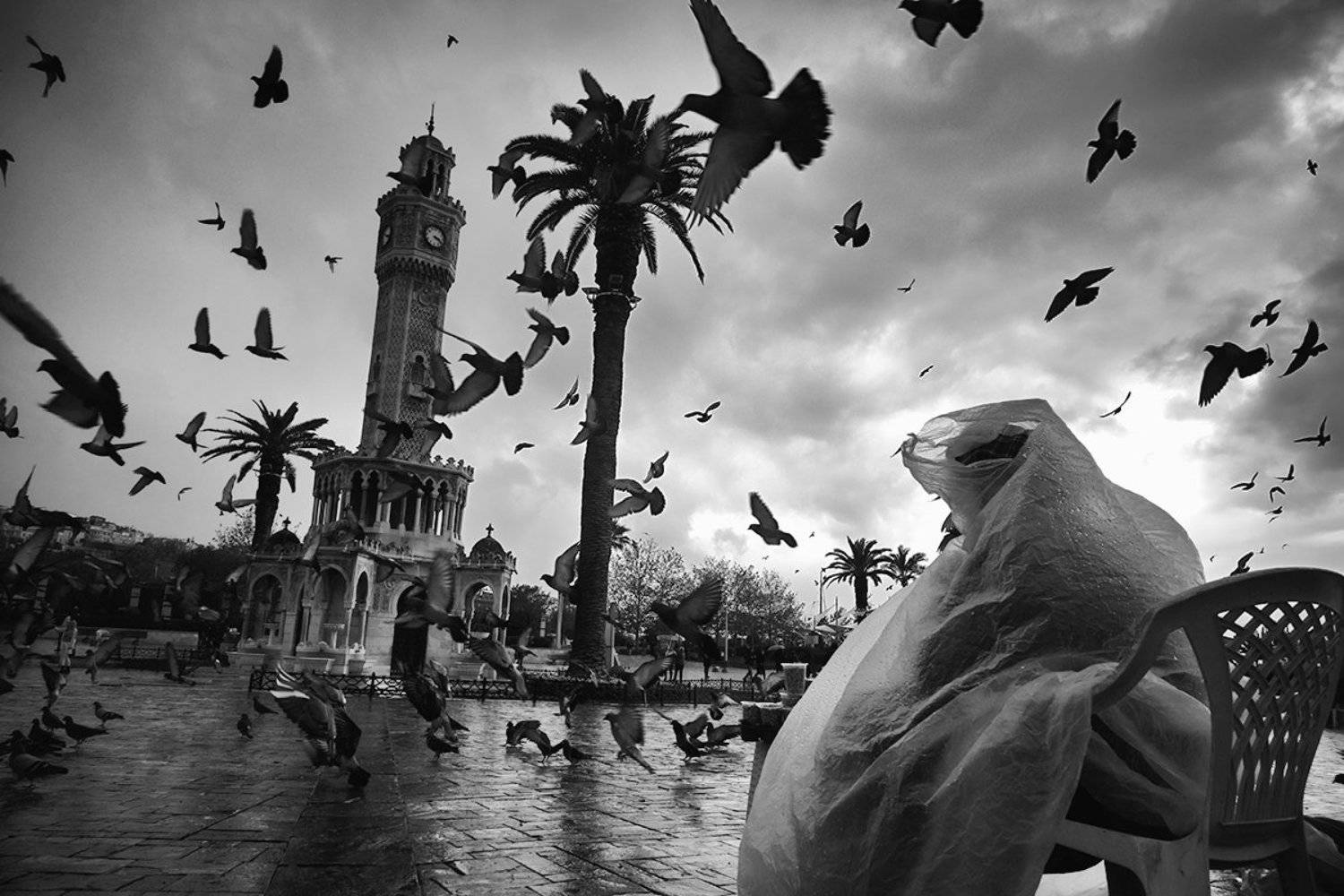 street,pingeon,mood,izmir,konak,blackandwhite, mustafa yagci