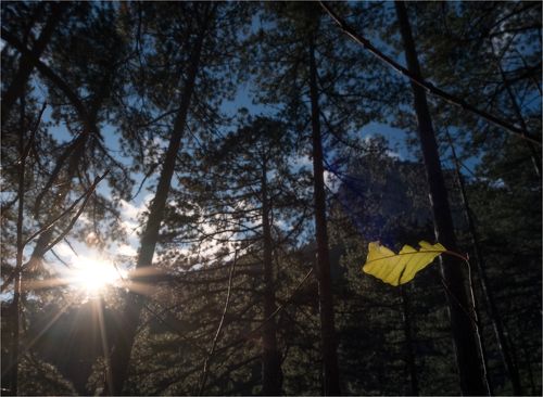 последний...