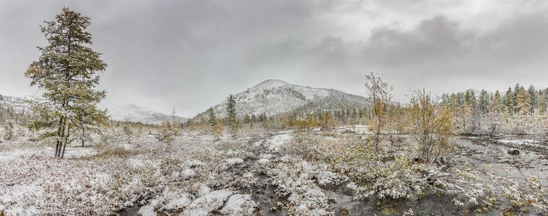 Первый снег. фото превью