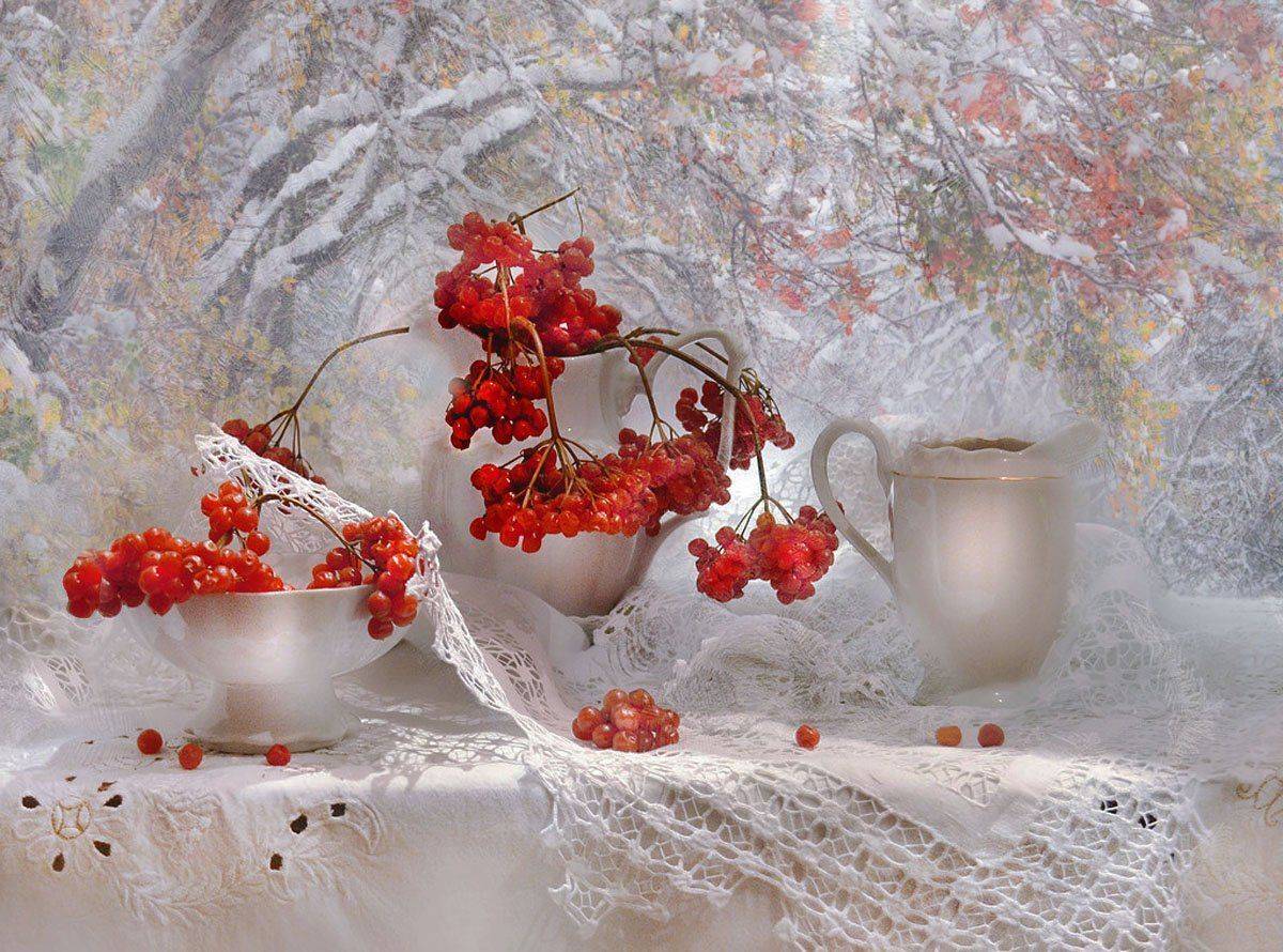 still life,натюрморт,фото натюрморт, фарфор, предвкушение, калина, зима, декабрь, Колова Валентина