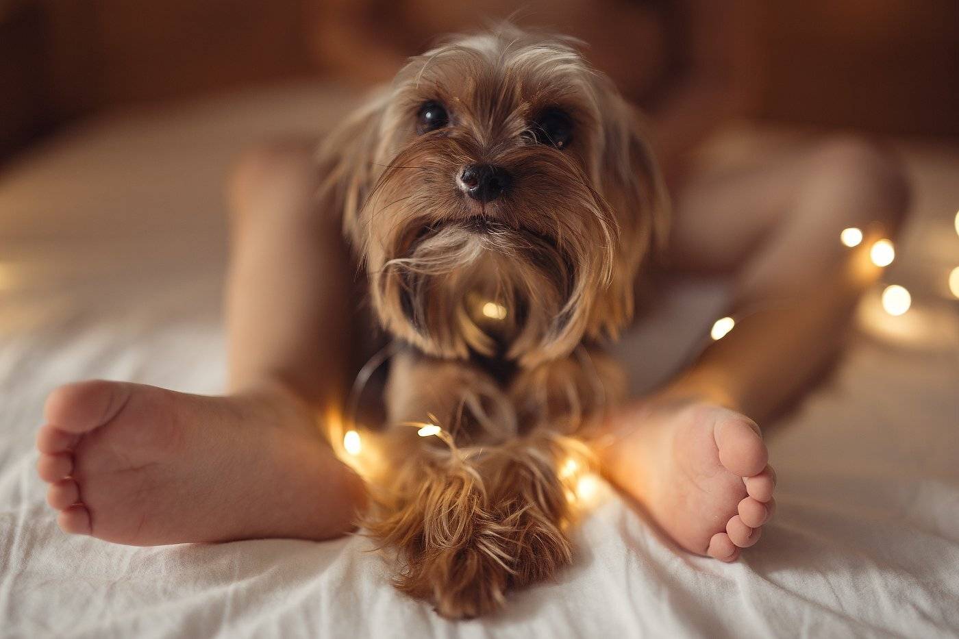 , Александра Дуке