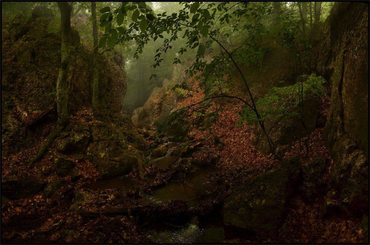 , Владимир Метцгер