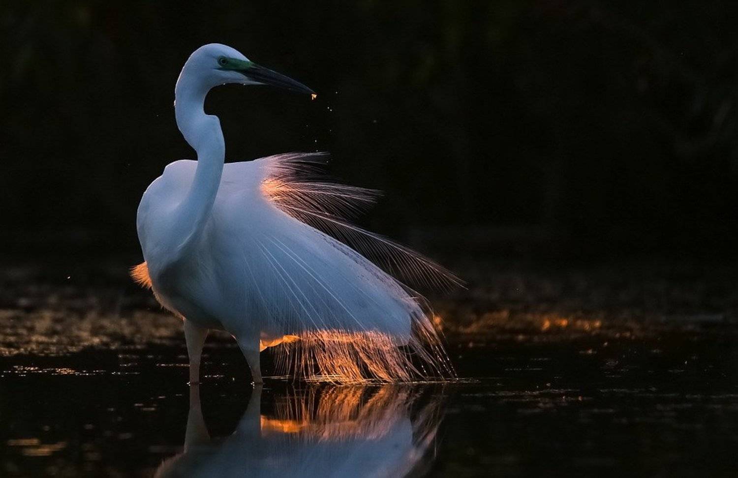 , Вячеслав Мищенко
