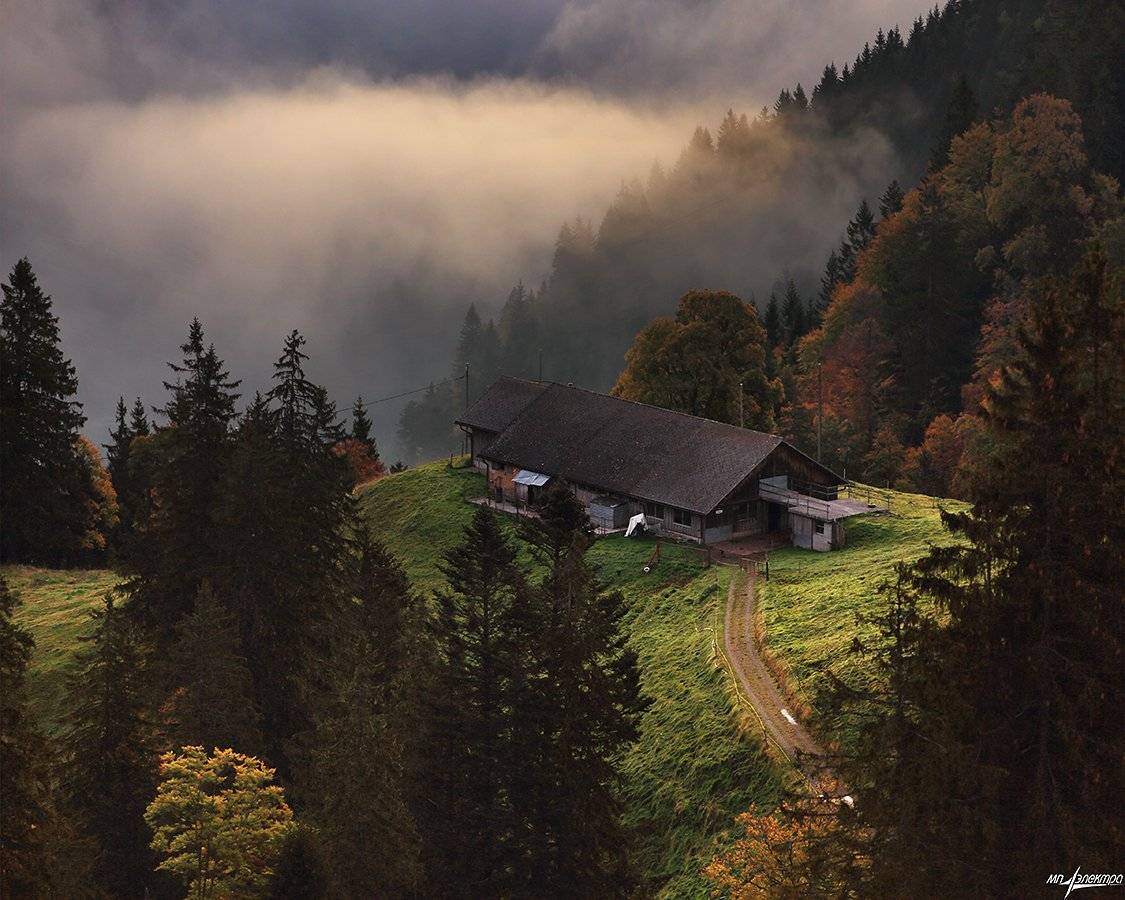 swiss, Матвеев Николай