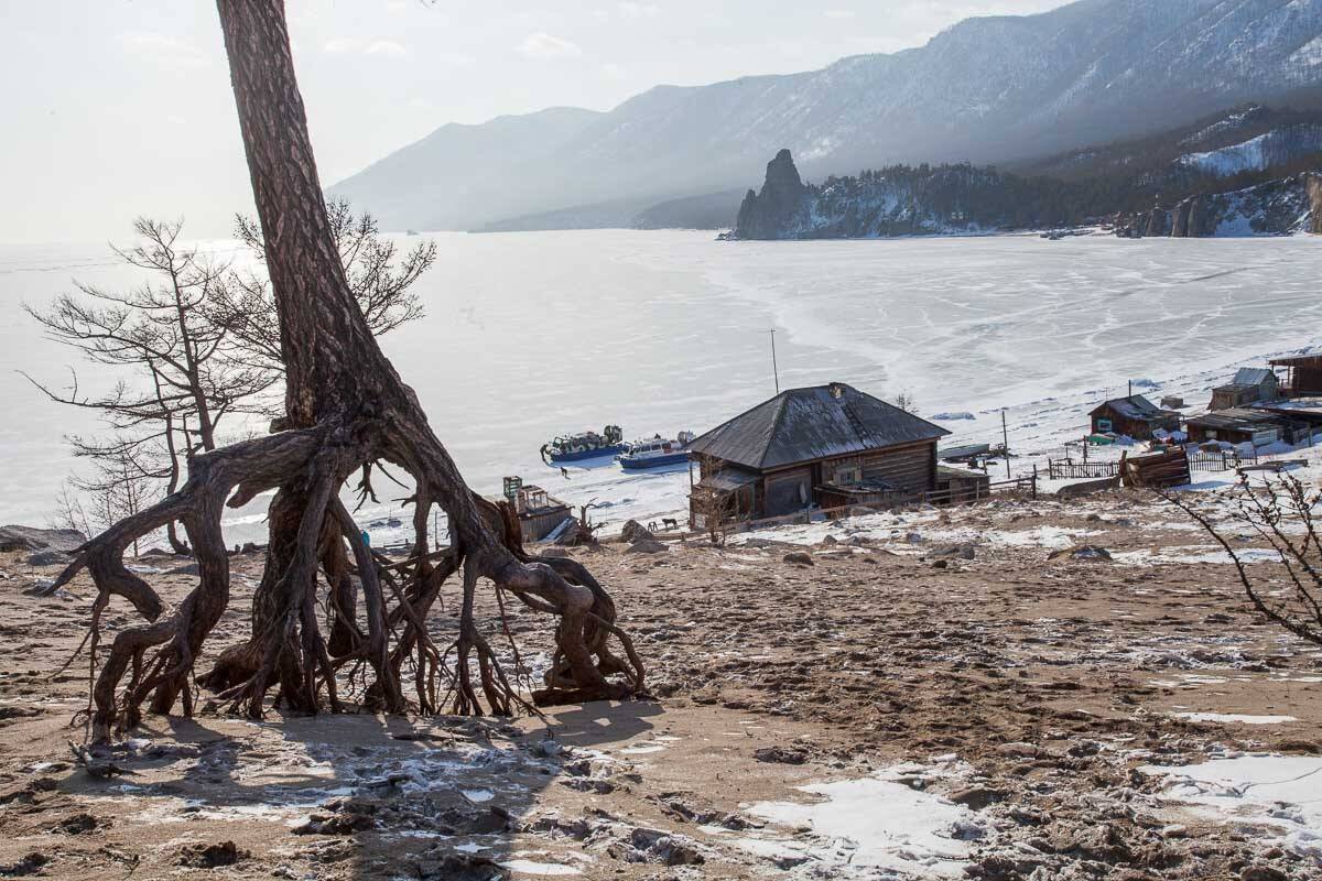 байкал, лед, зима, дерево, корни, лиственница, дом, деревня, бухта, Сергей Козинцев