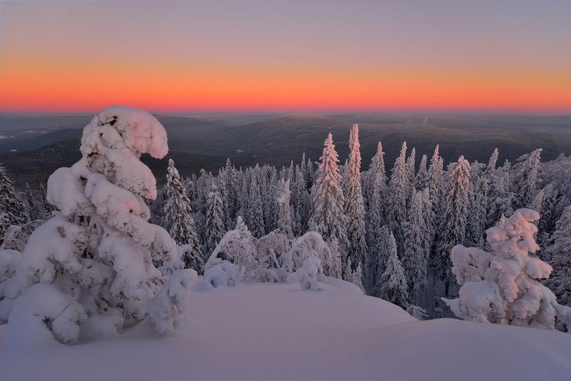 Зимнее море тайги фото превью