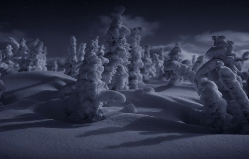 Снежная вечеринка. Юг Кузбасса