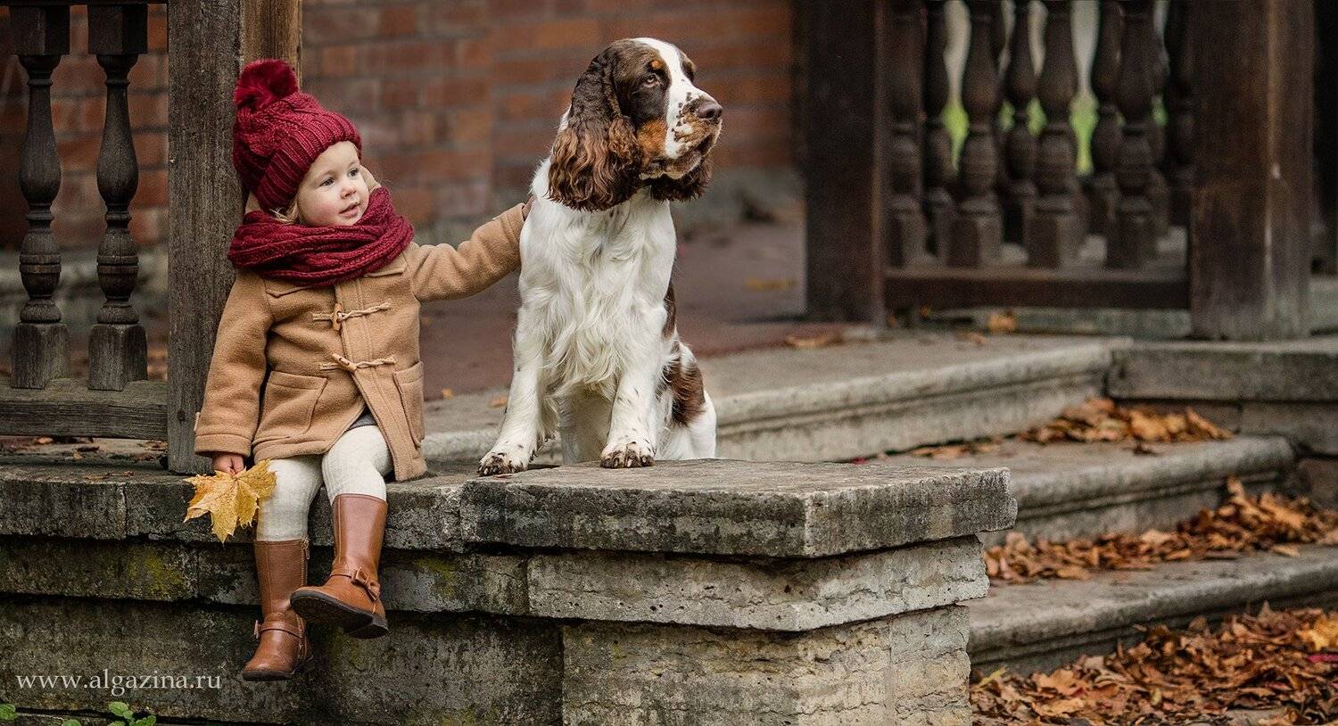 , Елена Алгазина