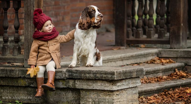 Осень фото превью