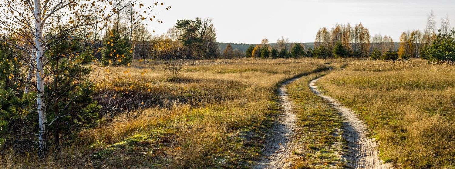 поле, осень, октябрь, лес, дорога, дали, Руслан Востриков