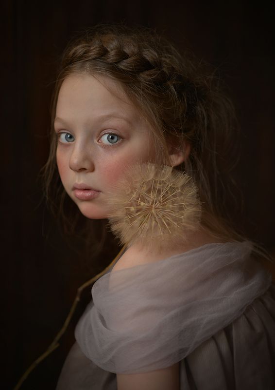 Tragopogon фото превью