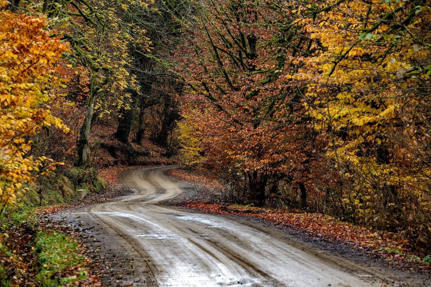 азербайджан ленкорань село осень пейзаж природа, Aleksandr Karyagin