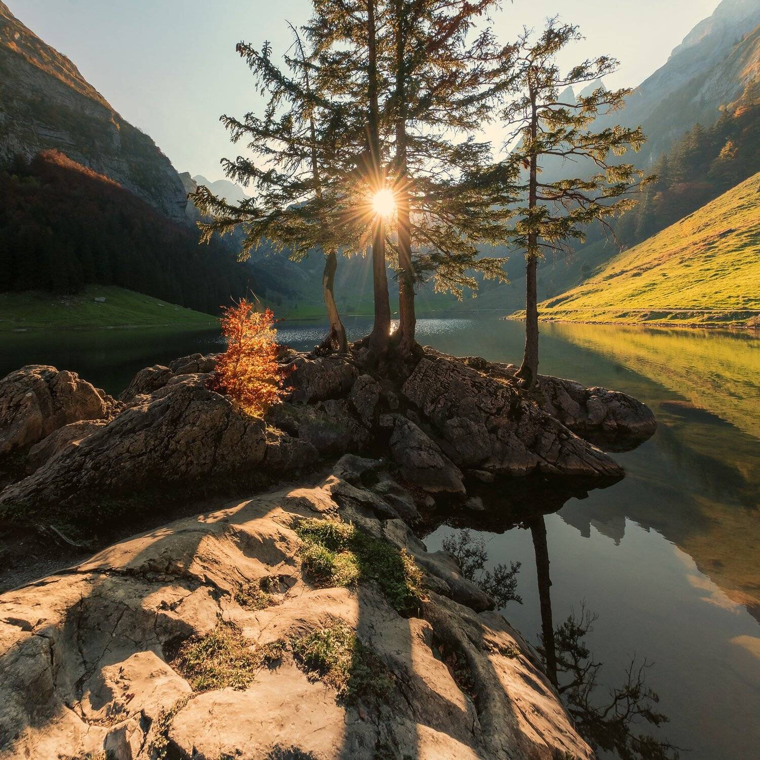 Швейцария , осень, пейзаж, природа, закат, горы, озеро, Лариса Николаевна Дука