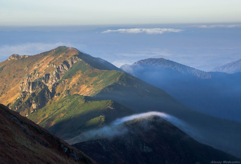 горы, карпати, карпаты, мармароси, ранок, рассвет, світанок, туман, утро, мармаросы, попіван, мармы, maramures, carpathians, mountains, ukraine Горные планы фото превью
