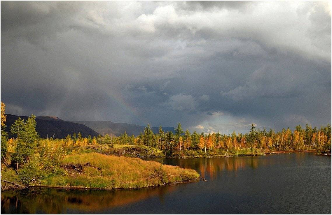 таймыр, Vladimir