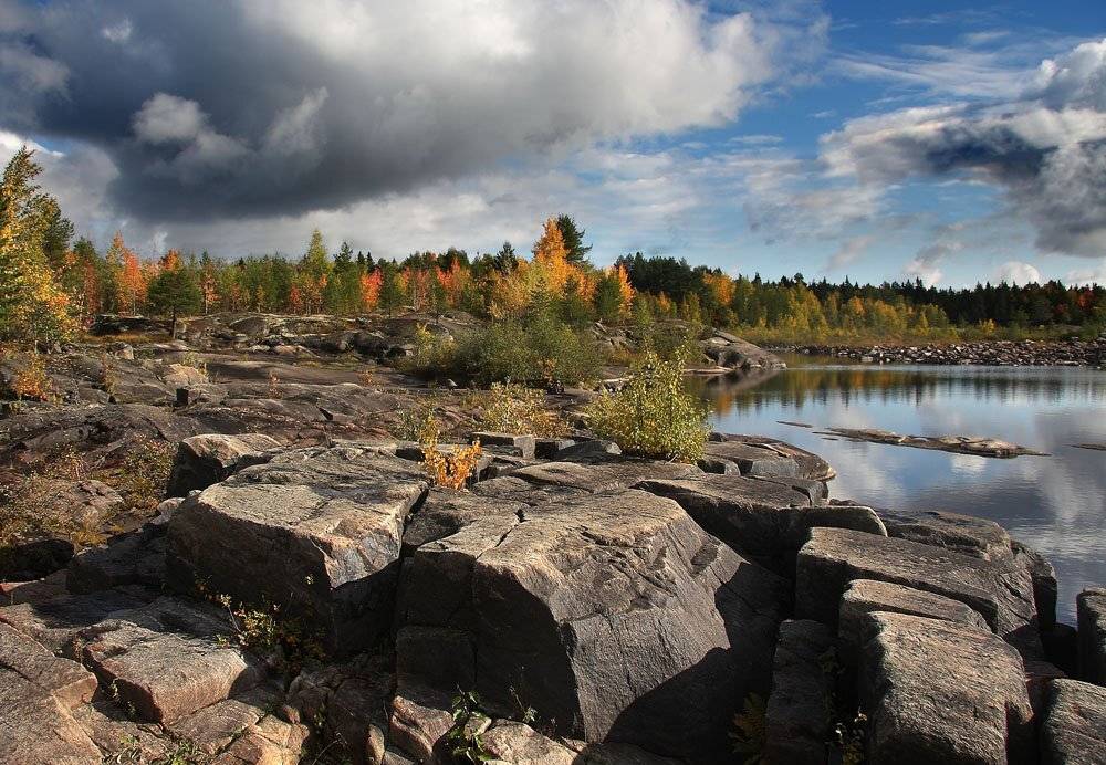 , Александр Коротков