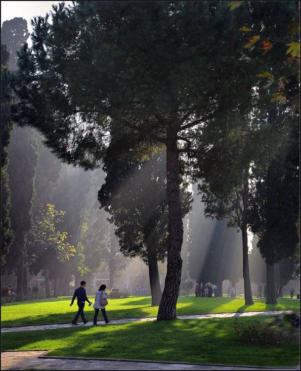 , Андрей Краснопольский