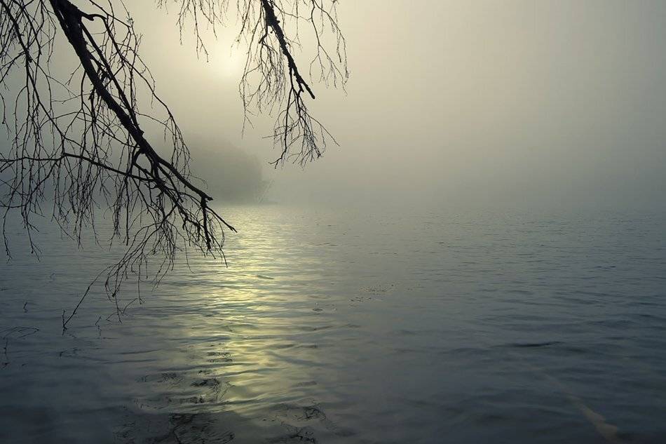 , Rimantas Bikulcius