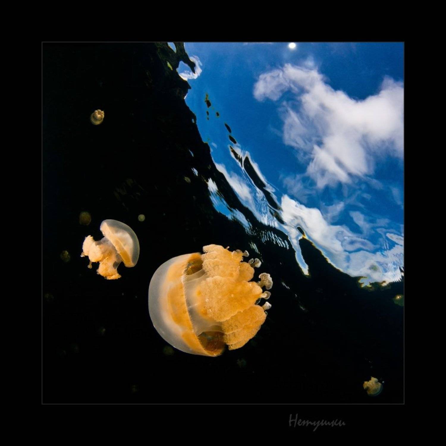 гдетотам, Нетушки