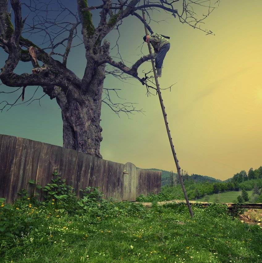 Hard worker II. Автор: Caras Ionut , Caras Ionut