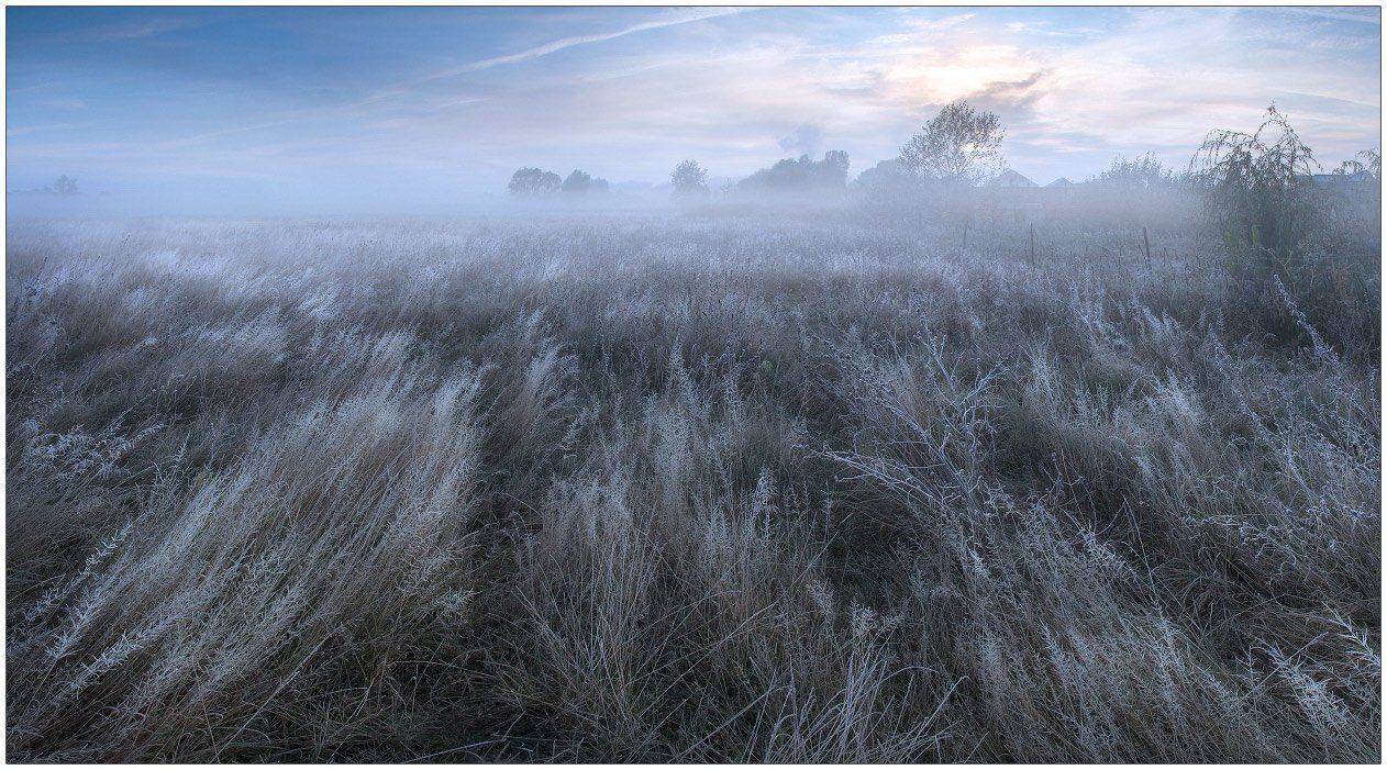 утро, осень, иней, поле, туман, Александр Киценко