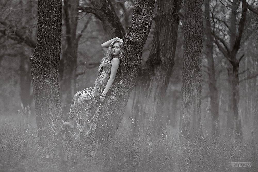 , Владислав.