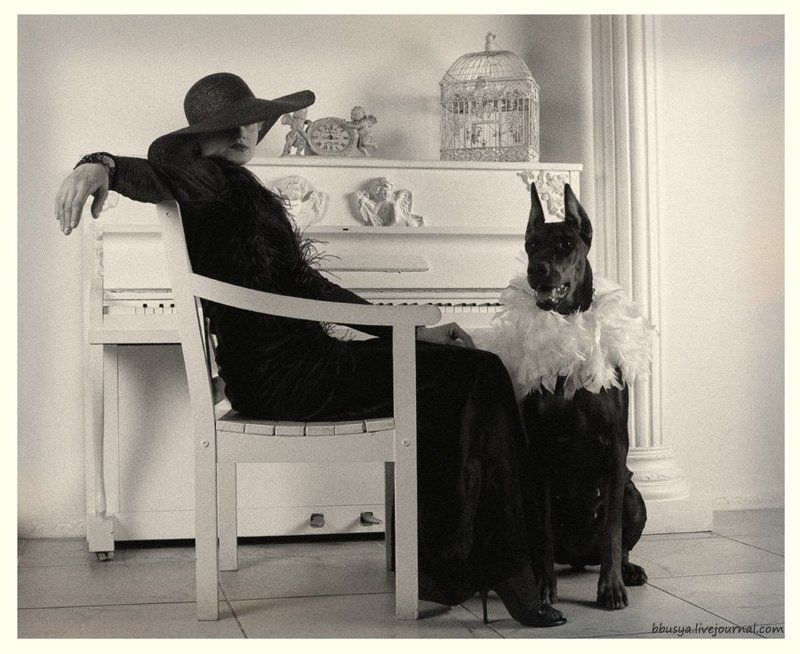 две звезды фото превью