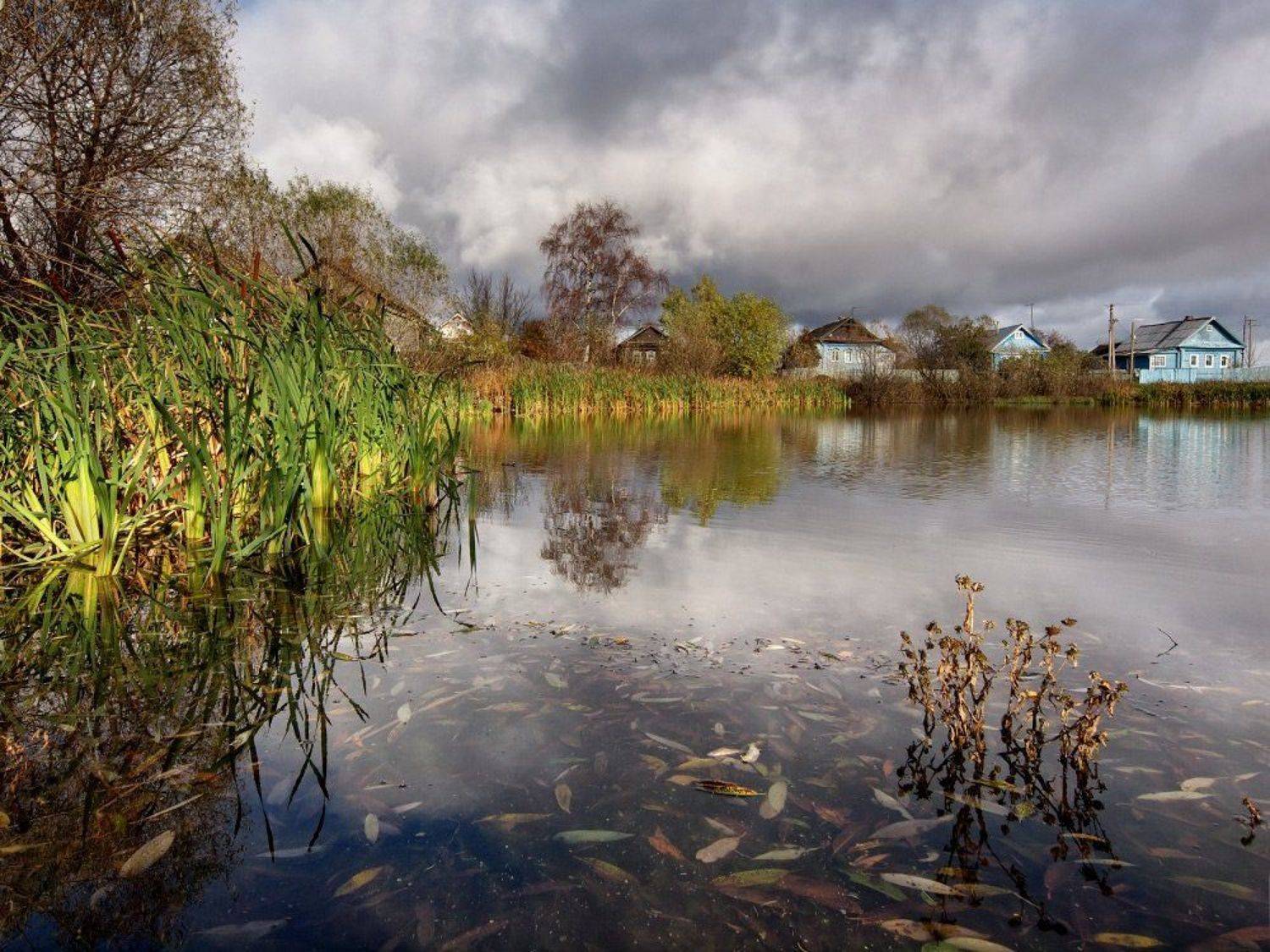 , Максим Евдокимов