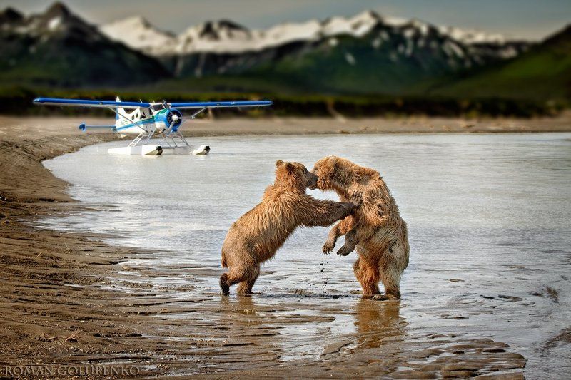 Прощай, турыст!  //  Kiss and Fly,  Alaska Style. фото превью
