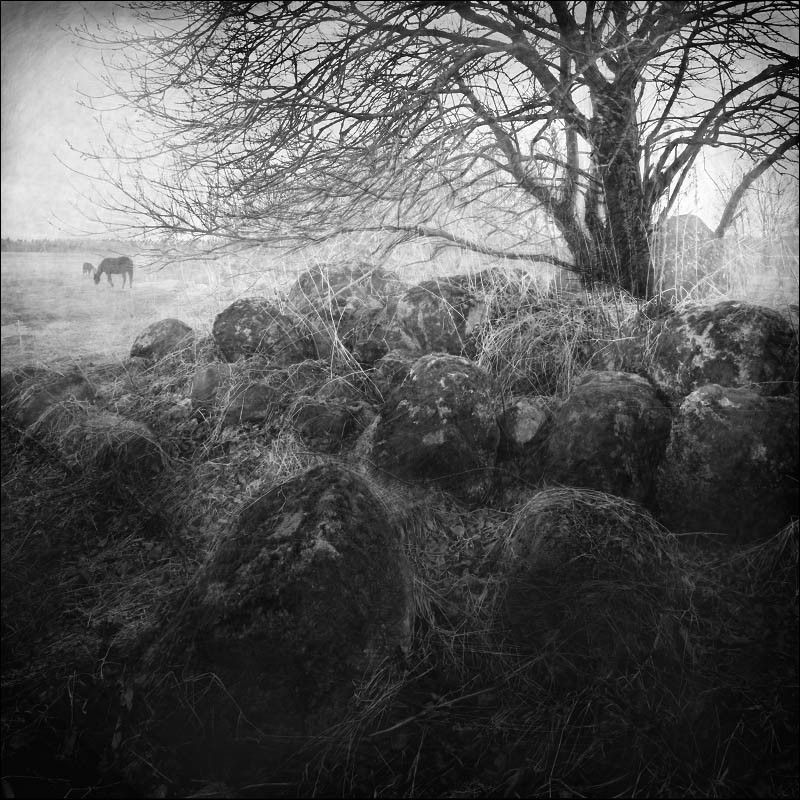 На камнях фото превью